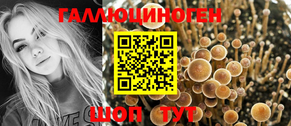 Псилоцибиновые грибы Psilocybe  Вход с VPN  Изобильный 